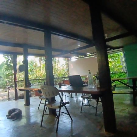 Nativos Corcovado Cabins Drakes Bay Εξωτερικό φωτογραφία