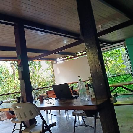 Nativos Corcovado Cabins Drakes Bay Εξωτερικό φωτογραφία