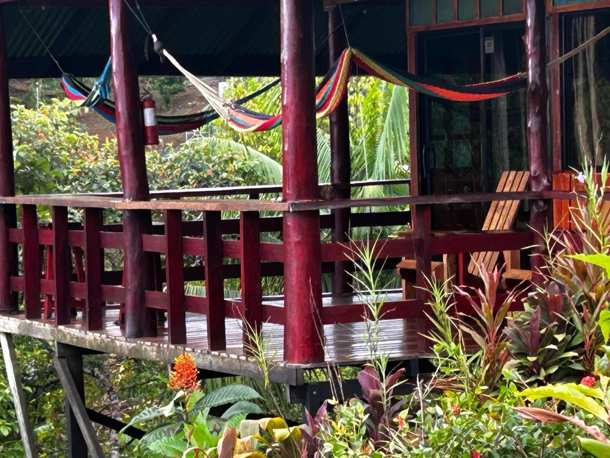 Nativos Corcovado Cabins Drakes Bay Εξωτερικό φωτογραφία
